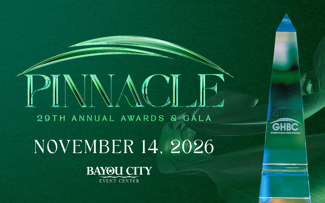 29th Annual Pinnacle Awards & Gala